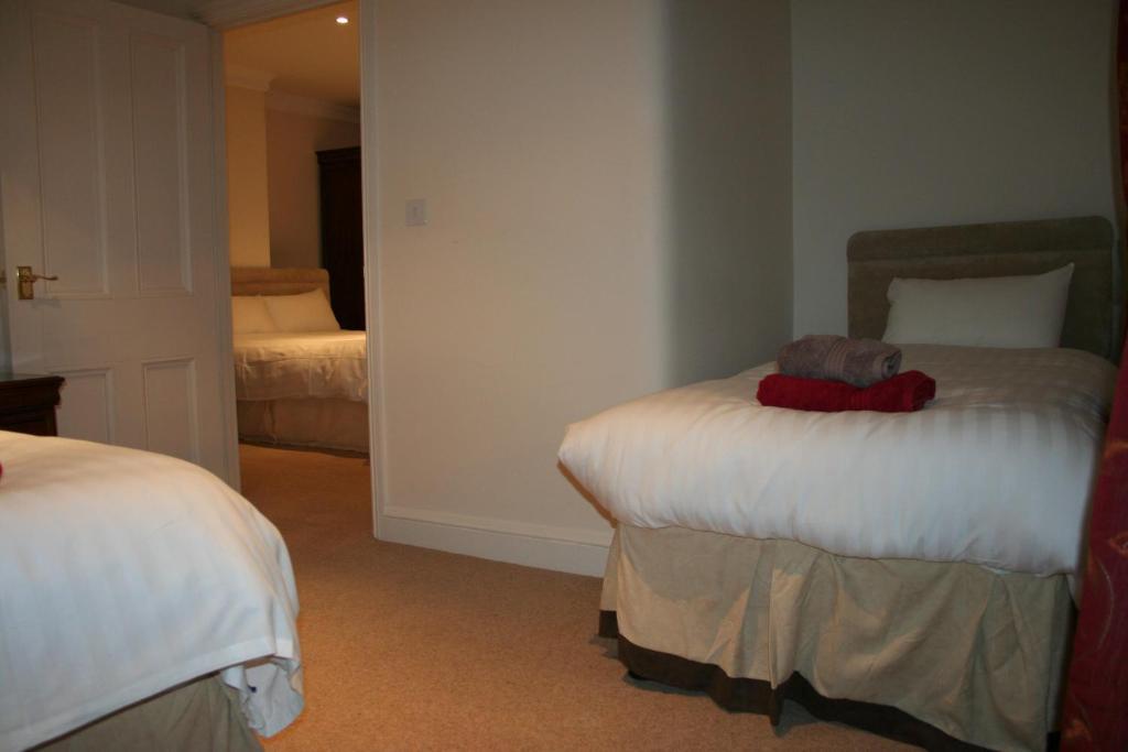 Hotel The Trewythen à Llanidloes Extérieur photo